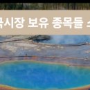 일화엔지니어링 | 위/아래로 크게 날뛰는 미국 주식시장 보유 종목 기사들과 영상들 (MU, NVDA, ABBV, GOOGL, SNDK 등...