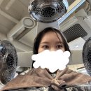 상아약품 이미지
