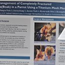 광주광역시 우치동물원 동물병원 이미지