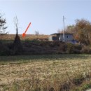 감정2리경로당 이미지