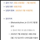 스카이투어여행사유