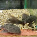 한서아쿠아 이미지