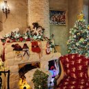 그린그라스 이미지