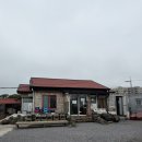 제주흑돈만두애월점 | [제주] 애월 만두전골 맛집 장인의집 본점 내돈내산 후기 | 메뉴·가격·주차 총정리