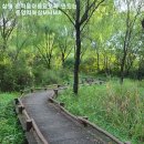 동양킥복싱MMA 이미지