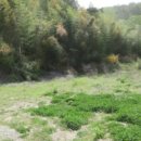 포항시북구43 이미지