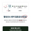 (주)플러스랩에스 이미지