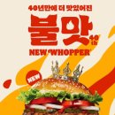 뉴서울낚시 | 버거킹 와퍼단종_한국진출 40주년 기념 뉴 와퍼 /단종 낚시 마케팅 후기(feat.야채 무료 추가팁)