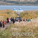 달빛보부상