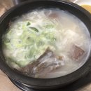 이것이 설곰탕이다