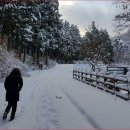 향-녹음의 계절 이미지