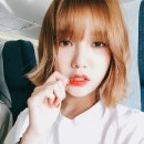 밈미미