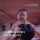 베베앙드레 | 2023.9.25~10.1 D+263~269 후기이유식 시작, 트리트랩 구매, 결혼기념일, 튼튼이 첫 추석