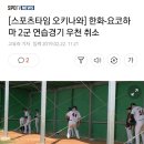 [스포츠타임 오키나와] 한화-요코하마 2군 연습경기 우천 취소 이미지