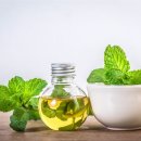 심야식탁 이미지