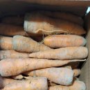 (주)힐링팜 이미지