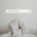 데일리플랜 이미지