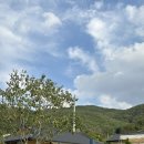 소리코티지 이미지