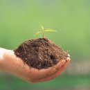 오수농자재백화점 이미지