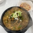 속초시청 | 만천뼈해장국 _ 속초시청맛집