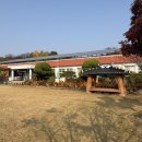 옹고집쌈밥 | 📍 폐교에서 즐기는 특별한 한 끼, 군산 옹고집쌈밥 방문 후기