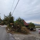 다올 핀란드 펜션 이미지