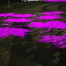 이성우행정사 이미지