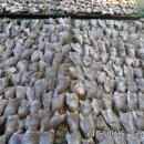 진도종합수산 이미지