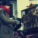 동은동물병원 이미지