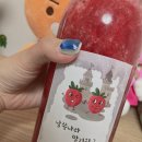 남쪽나라딸기왕국 네이버블로그