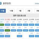 삼수정횟집 | ['24.11.29] 경주 전촌항 정도로스호 대삼치 낚시