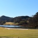 블루원 상주 CC 1박2일 패키지 후기 ,벚꽃 라운딩+바베큐