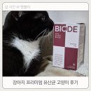 라이트핏 | 프리미엄 강아지 유산균 고양이도 먹을 수 있는 AF균주 비오드 라이트핏 후기