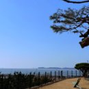 브레드하일