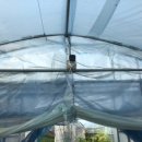 다혜농장 이미지