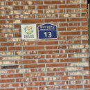 스테이 아모 이미지