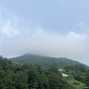 금대리(찜터) 경로당 | {울릉도 여행 02.}드디어 도착! 첫째날 일정 총 정리(맛집 추천,소품샵,카페,해중전망대,울릉천국 등)