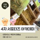 대동기획 | 지역과 상생하는 로컬 브랜드 ‘진DOL’ 아카데미 4차 특강 후기 / [대세관 서포터즈]