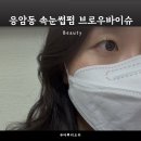 브로우바이슈 네이버블로그