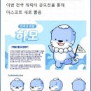 정원청과 이미지