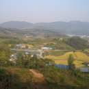 충남댁