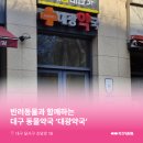 대광약국 이미지