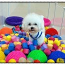 금곡동-8 이미지