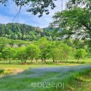 아트팩토리피플 투어코리아