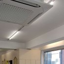 서울태권도체육관 이미지