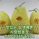지질자원연구원 지질박물관 이미지