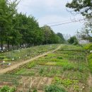 행복을 farm 이미지