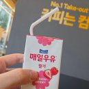 태성프라자 | 향남 빵집 맛집 '오브베이커리', 근본과 가성비의 동네 빵집 소세지빵 후기