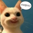 인싸짐 | 안양 석수동 24시 헬스장 인싸짐 후기 | 일일권 가격