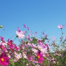 화성종합경기타운 이미지